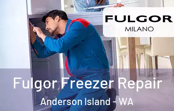  Fulgor Freezer Repair Anderson Island - WA