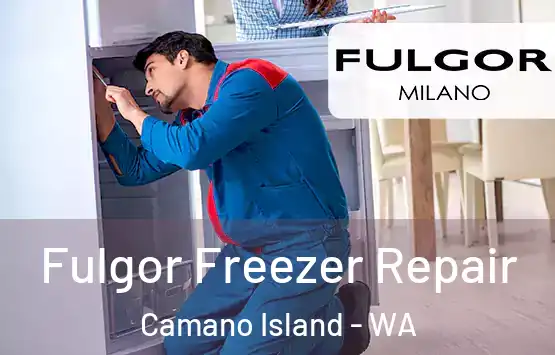  Fulgor Freezer Repair Camano Island - WA