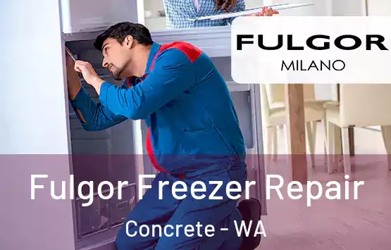  Fulgor Freezer Repair Concrete - WA