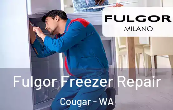  Fulgor Freezer Repair Cougar - WA