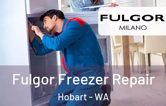  Fulgor Freezer Repair Hobart - WA