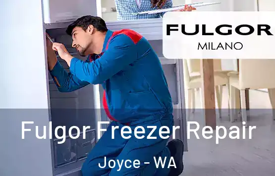  Fulgor Freezer Repair Joyce - WA