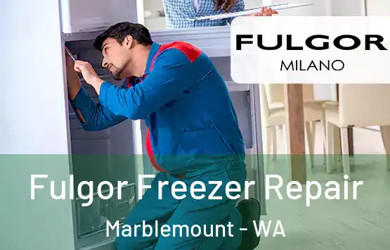  Fulgor Freezer Repair Marblemount - WA