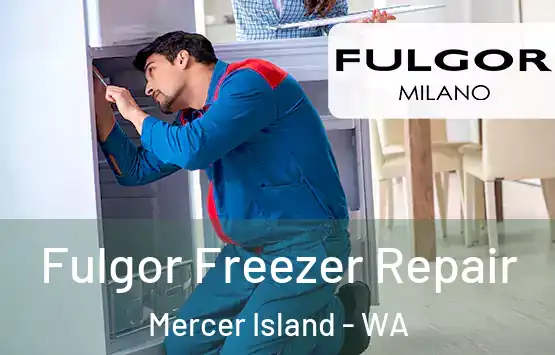  Fulgor Freezer Repair Mercer Island - WA