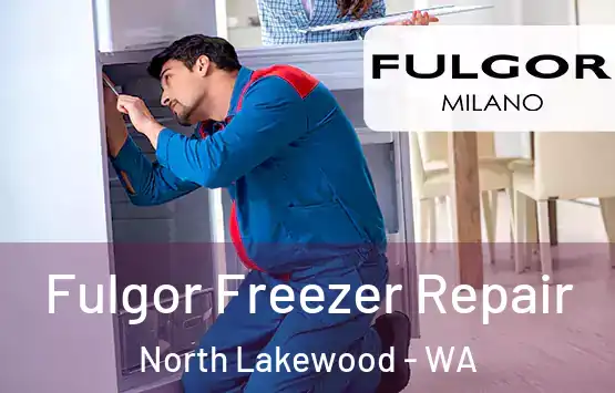  Fulgor Freezer Repair North Lakewood - WA