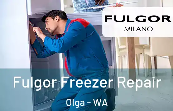 Fulgor Freezer Repair Olga - WA