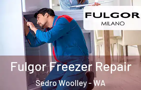  Fulgor Freezer Repair Sedro Woolley - WA