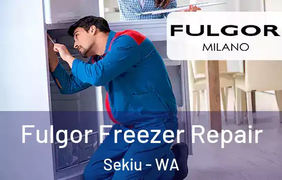  Fulgor Freezer Repair Sekiu - WA