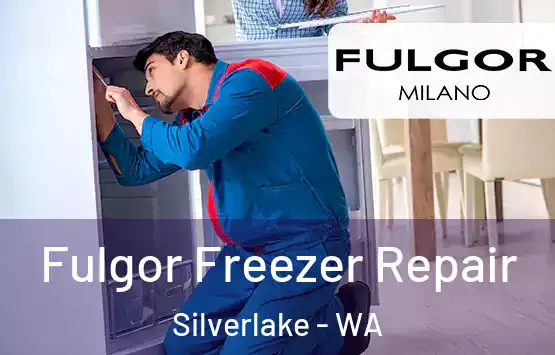  Fulgor Freezer Repair Silverlake - WA
