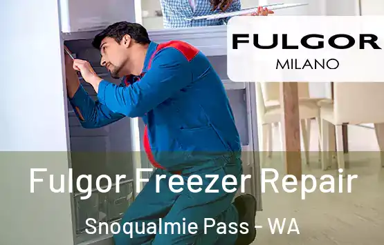  Fulgor Freezer Repair Snoqualmie Pass - WA