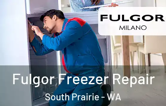  Fulgor Freezer Repair South Prairie - WA