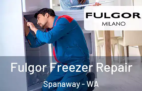  Fulgor Freezer Repair Spanaway - WA