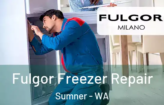  Fulgor Freezer Repair Sumner - WA