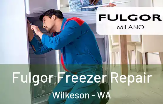  Fulgor Freezer Repair Wilkeson - WA