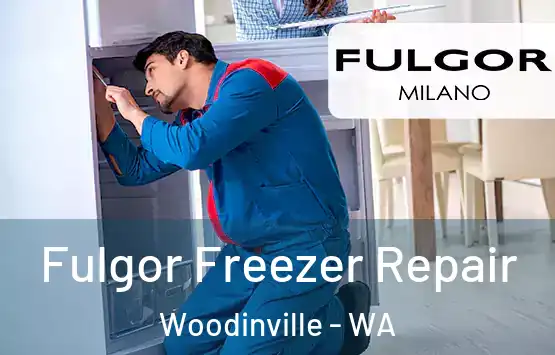  Fulgor Freezer Repair Woodinville - WA