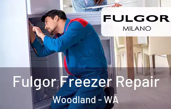  Fulgor Freezer Repair Woodland - WA