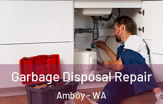 Garbage Disposal Repair Amboy - WA
