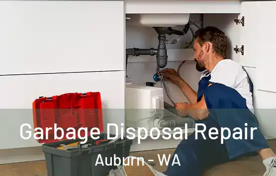  Garbage Disposal Repair Auburn - WA