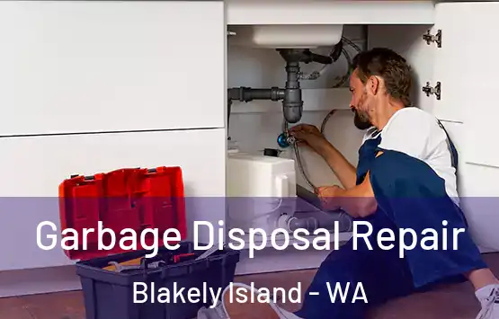  Garbage Disposal Repair Blakely Island - WA