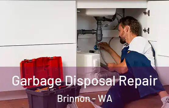  Garbage Disposal Repair Brinnon - WA
