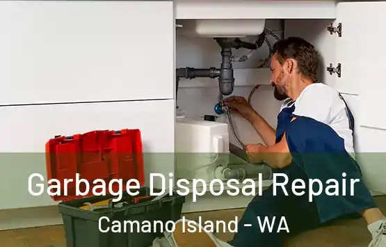  Garbage Disposal Repair Camano Island - WA
