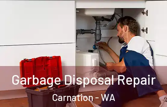  Garbage Disposal Repair Carnation - WA