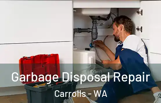  Garbage Disposal Repair Carrolls - WA