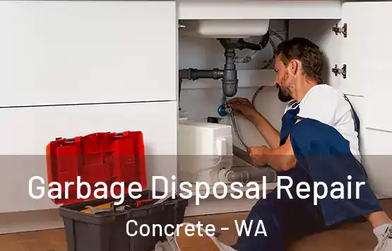  Garbage Disposal Repair Concrete - WA