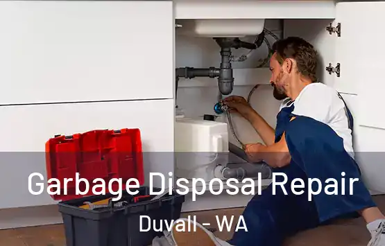  Garbage Disposal Repair Duvall - WA