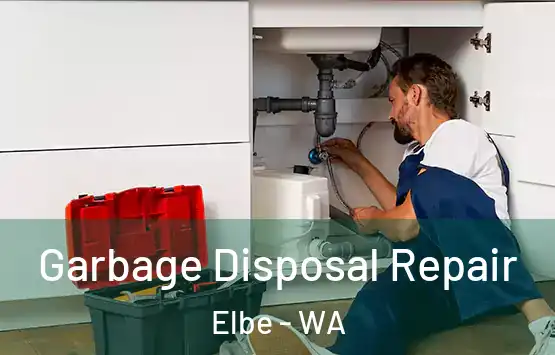  Garbage Disposal Repair Elbe - WA
