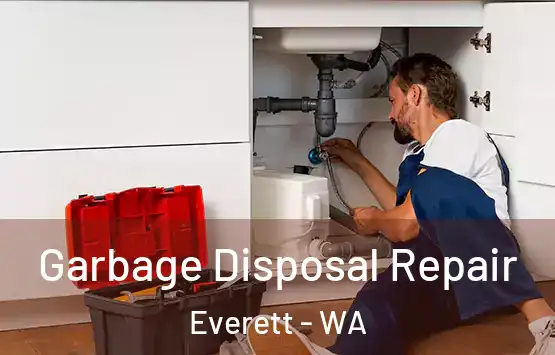  Garbage Disposal Repair Everett - WA