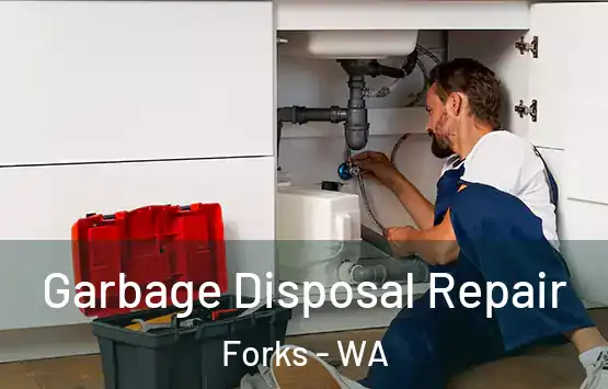  Garbage Disposal Repair Forks - WA