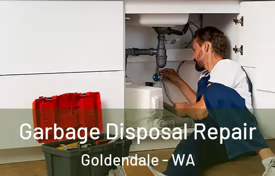  Garbage Disposal Repair Goldendale - WA