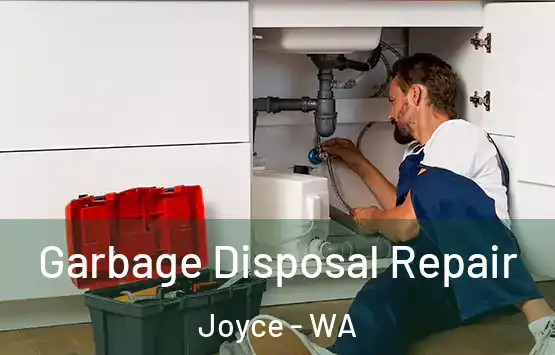  Garbage Disposal Repair Joyce - WA