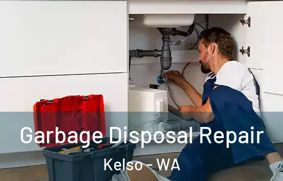  Garbage Disposal Repair Kelso - WA