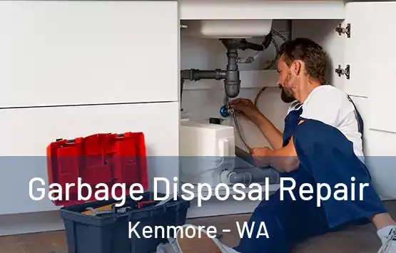  Garbage Disposal Repair Kenmore - WA