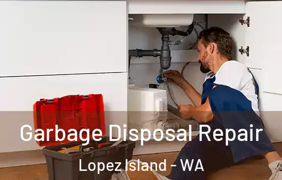  Garbage Disposal Repair Lopez Island - WA
