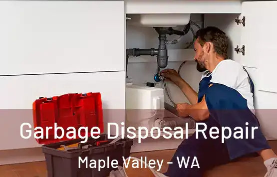  Garbage Disposal Repair Maple Valley - WA