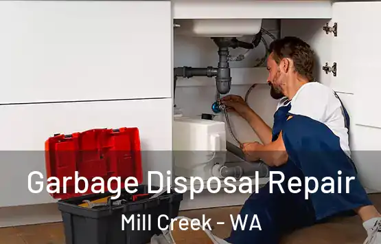  Garbage Disposal Repair Mill Creek - WA