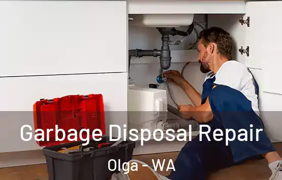  Garbage Disposal Repair Olga - WA