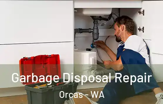  Garbage Disposal Repair Orcas - WA