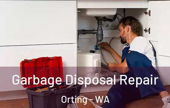  Garbage Disposal Repair Orting - WA