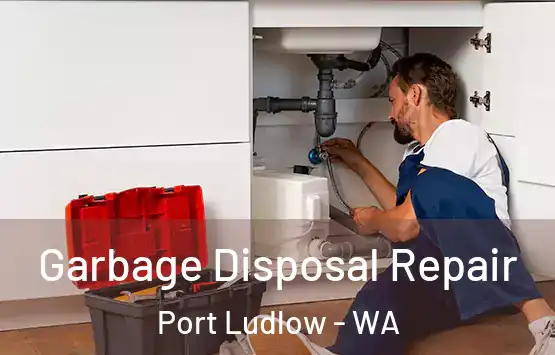  Garbage Disposal Repair Port Ludlow - WA