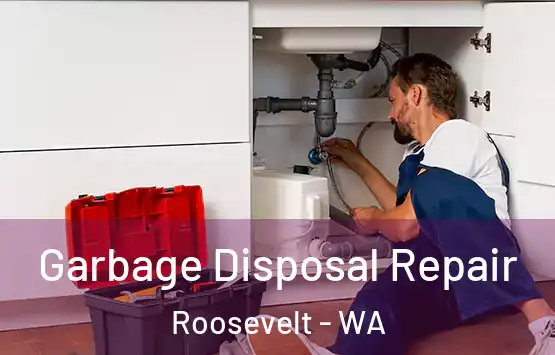  Garbage Disposal Repair Roosevelt - WA