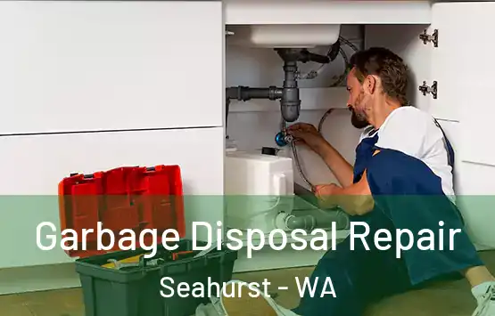  Garbage Disposal Repair Seahurst - WA