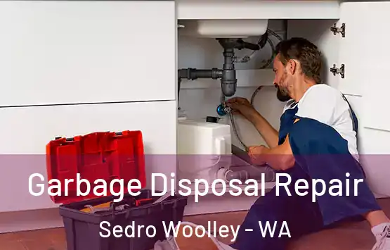  Garbage Disposal Repair Sedro Woolley - WA