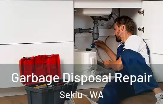  Garbage Disposal Repair Sekiu - WA