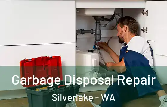  Garbage Disposal Repair Silverlake - WA