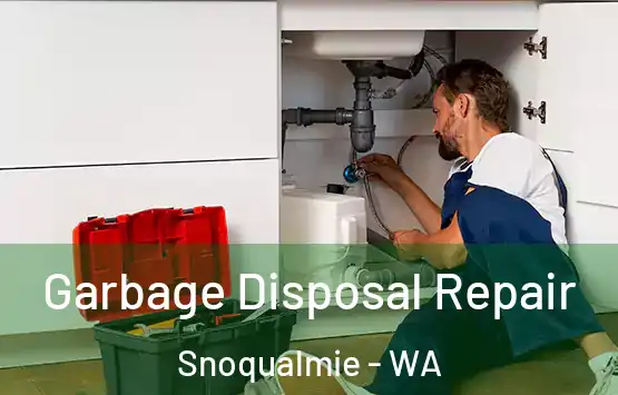  Garbage Disposal Repair Snoqualmie - WA