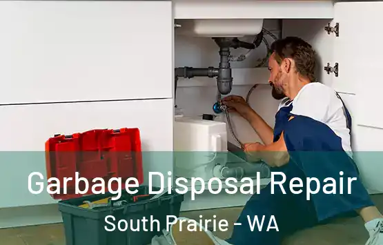  Garbage Disposal Repair South Prairie - WA